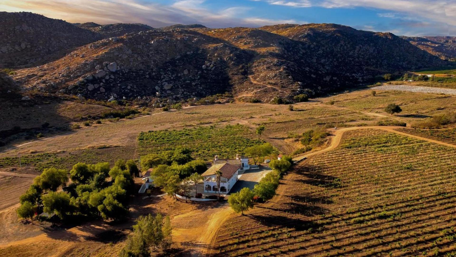 Casa Luna Vinedo Valle de Guadalupe Exterior foto